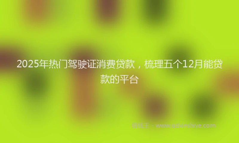 2025年热门驾驶证消费贷款，梳理五个12月能贷款的平台