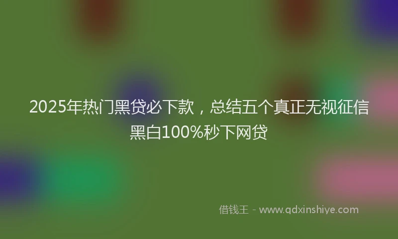 2025年热门黑贷必下款，总结五个真正无视征信黑白100%秒下网贷