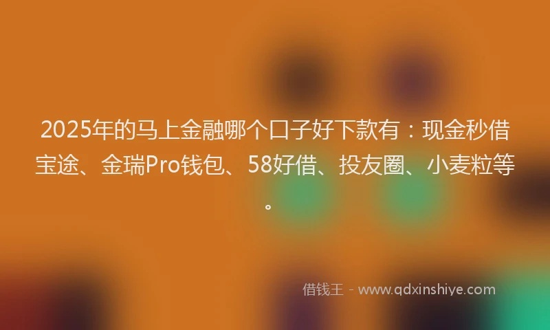 2025年的马上金融哪个口子好下款有：现金秒借宝途、金瑞Pro钱包、58好借、投友圈、小麦粒等。