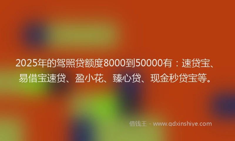 2025年的驾照贷额度8000到50000有：速贷宝、易借宝速贷、盈小花、臻心贷、现金秒贷宝等。
