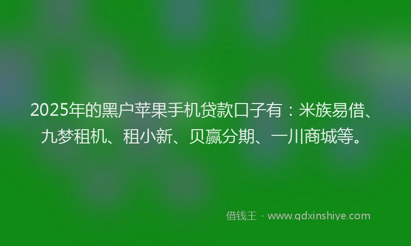 2025年的黑户苹果手机贷款口子有：米族易借、九梦租机、租小新、贝赢分期、一川商城等。