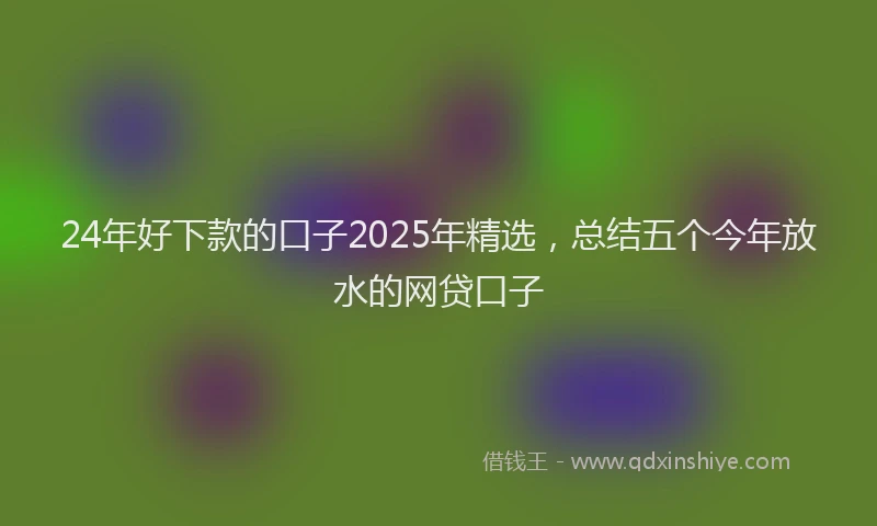 24年好下款的口子2025年精选，总结五个今年放水的网贷口子