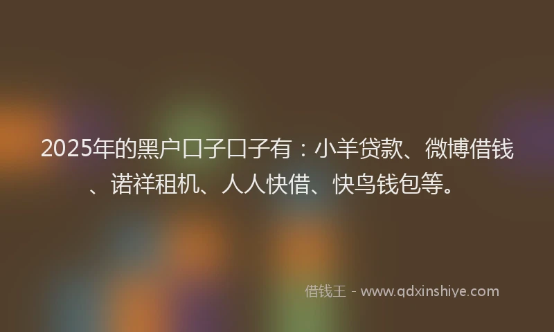 2025年的黑户口子口子有：小羊贷款、微博借钱、诺祥租机、人人快借、快鸟钱包等。