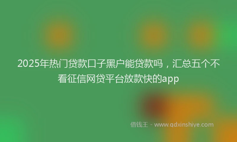 2025年热门贷款口子黑户能贷款吗，汇总五个不看征信网贷平台放款快的app