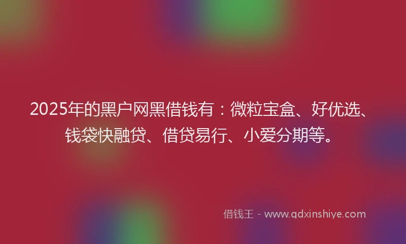 2025年的黑户网黑借钱有：微粒宝盒、好优选、钱袋快融贷、借贷易行、小爱分期等。