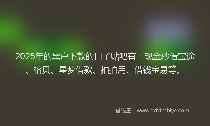 2025年的黑户下款的口子贴吧有：现金秒借宝途、榕贝、星梦借款、拍拍用、借钱宝易等。