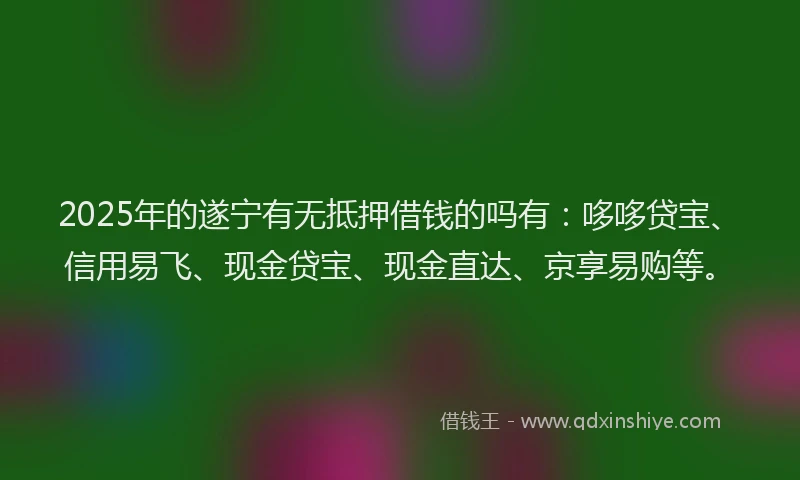 2025年的遂宁有无抵押借钱的吗有：哆哆贷宝、信用易飞、现金贷宝、现金直达、京享易购等。
