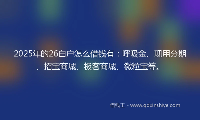 2025年的26白户怎么借钱有：呼吸金、现用分期、招宝商城、极客商城、微粒宝等。