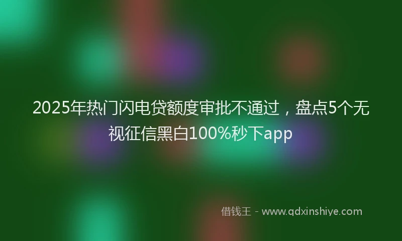 2025年热门闪电贷额度审批不通过，盘点5个无视征信黑白100%秒下app