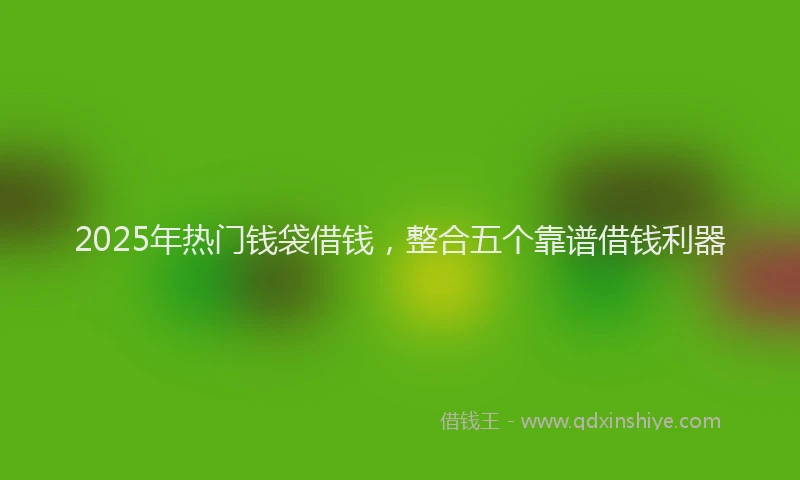 2025年热门钱袋借钱，整合五个靠谱借钱利器