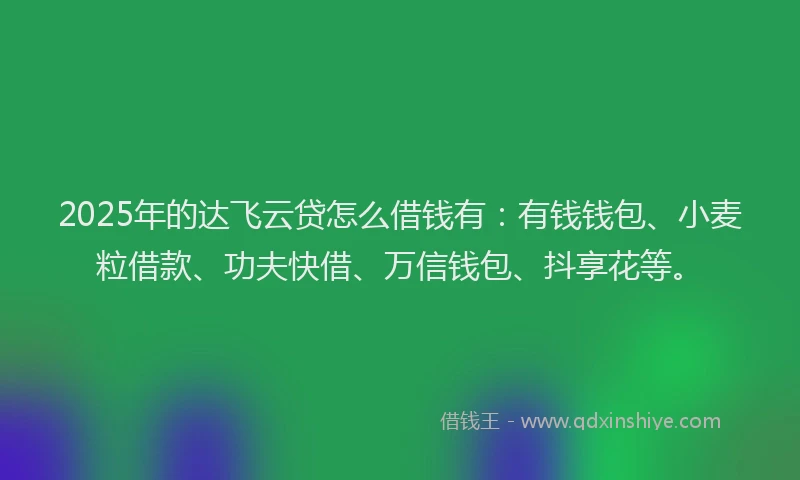 2025年的达飞云贷怎么借钱有：有钱钱包、小麦粒借款、功夫快借、万信钱包、抖享花等。