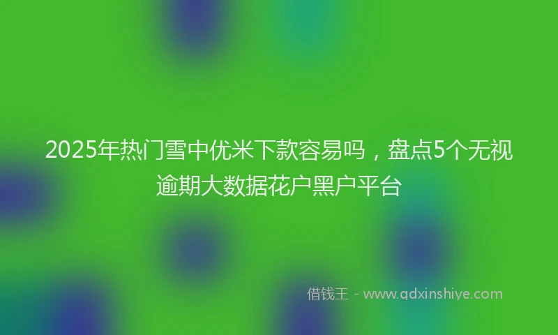 2025年热门雪中优米下款容易吗，盘点5个无视逾期大数据花户黑户平台