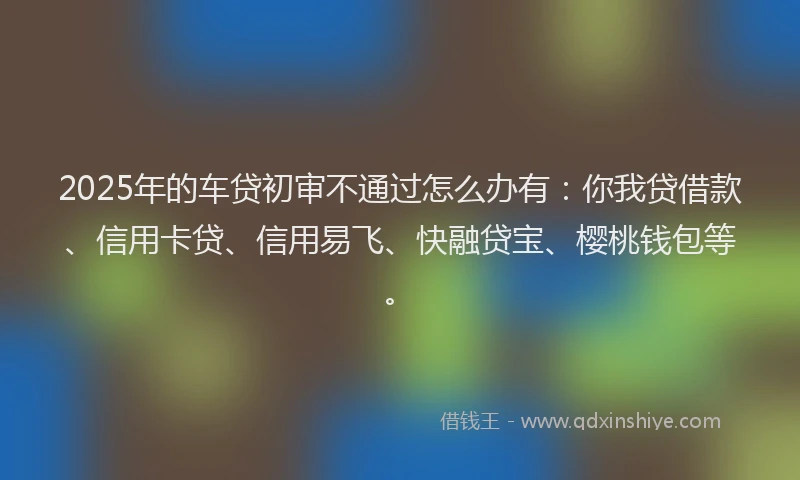 2025年的车贷初审不通过怎么办有：你我贷借款、信用卡贷、信用易飞、快融贷宝、樱桃钱包等。