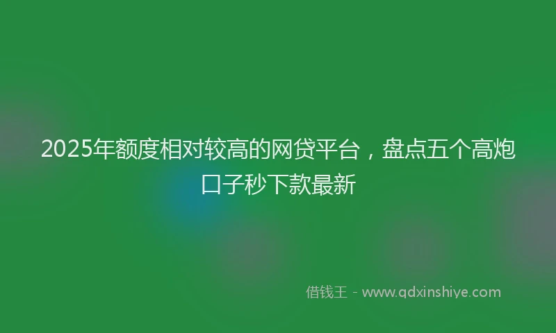2025年额度相对较高的网贷平台，盘点五个高炮口子秒下款最新