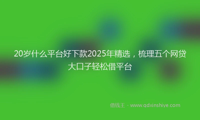 20岁什么平台好下款2025年精选，梳理五个网贷大口子轻松借平台