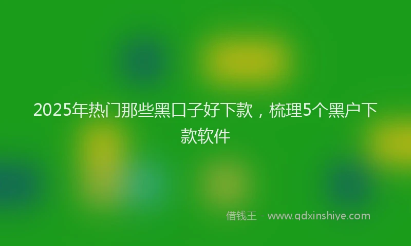 2025年热门那些黑口子好下款，梳理5个黑户下款软件