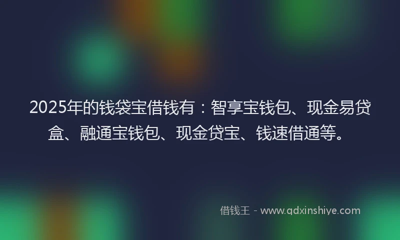 2025年的钱袋宝借钱有：智享宝钱包、现金易贷盒、融通宝钱包、现金贷宝、钱速借通等。