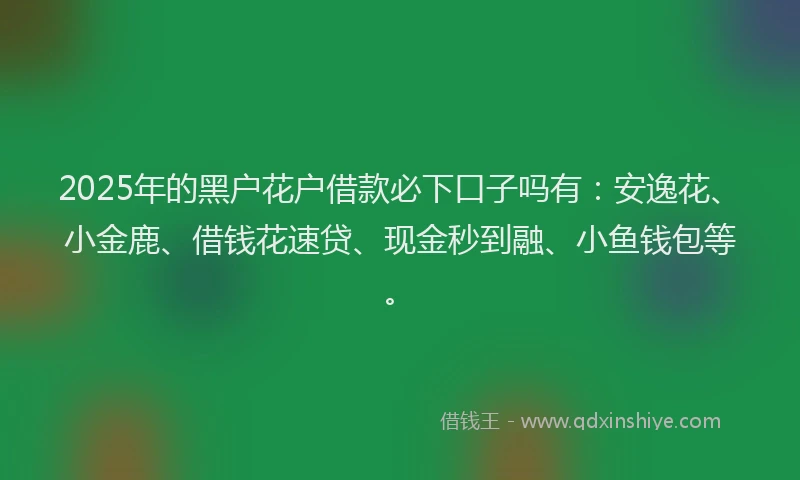 2025年的黑户花户借款必下口子吗有：安逸花、小金鹿、借钱花速贷、现金秒到融、小鱼钱包等。