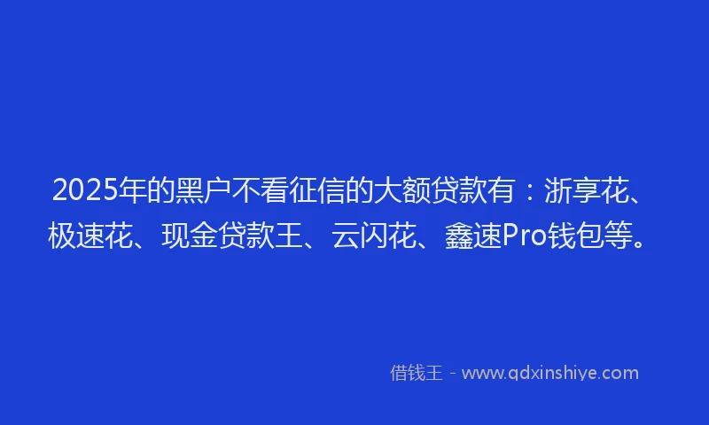 2025年的黑户不看征信的大额贷款有：浙享花、极速花、现金贷款王、云闪花、鑫速Pro钱包等。