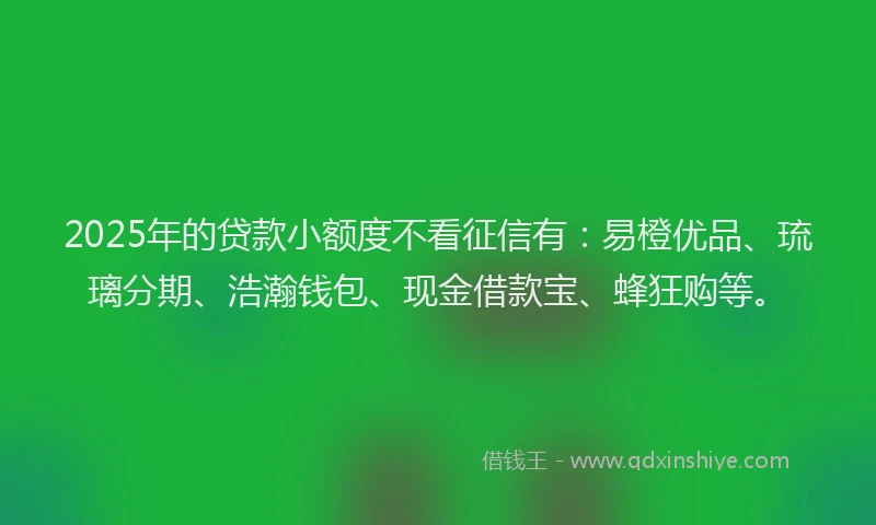 2025年的贷款小额度不看征信有：易橙优品、琉璃分期、浩瀚钱包、现金借款宝、蜂狂购等。