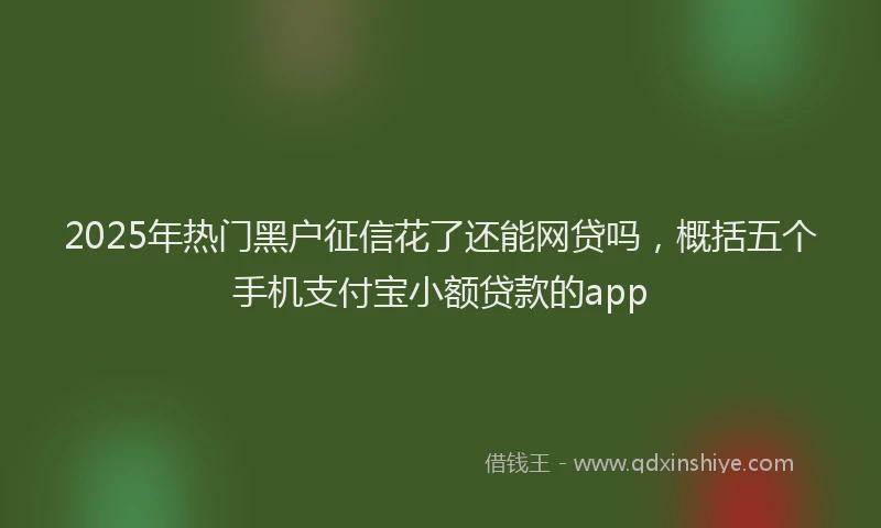 2025年热门黑户征信花了还能网贷吗，概括五个手机支付宝小额贷款的app