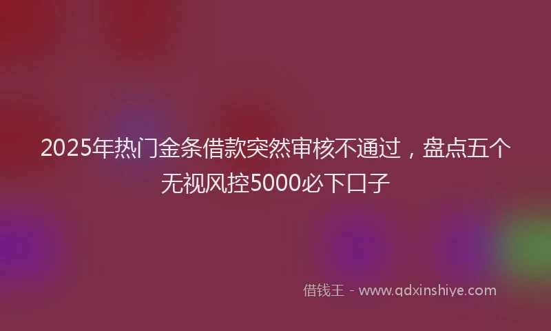 2025年热门金条借款突然审核不通过，盘点五个无视风控5000必下口子
