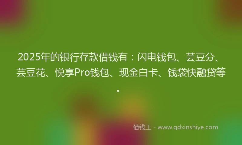 2025年的银行存款借钱有：闪电钱包、芸豆分、芸豆花、悦享Pro钱包、现金白卡、钱袋快融贷等。