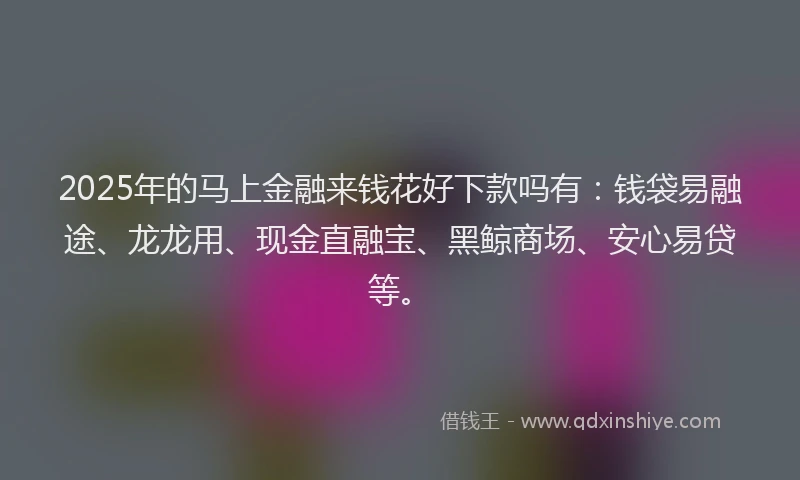 2025年的马上金融来钱花好下款吗有：钱袋易融途、龙龙用、现金直融宝、黑鲸商场、安心易贷等。