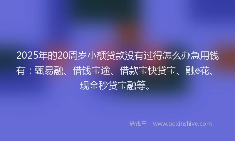 2025年的20周岁小额贷款没有过得怎么办急用钱有：甄易融、借钱宝途、借款宝快贷宝、融e花、现金秒贷宝融等。