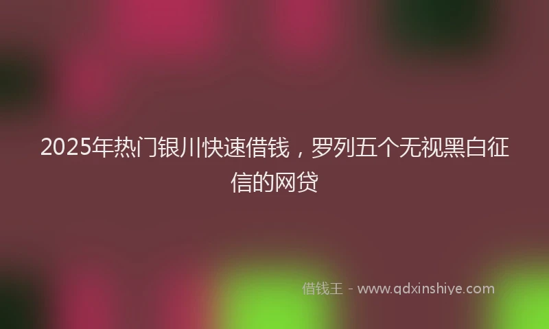 2025年热门银川快速借钱，罗列五个无视黑白征信的网贷