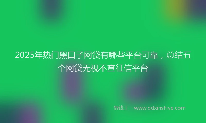 2025年热门黑口子网贷有哪些平台可靠，总结五个网贷无视不查征信平台