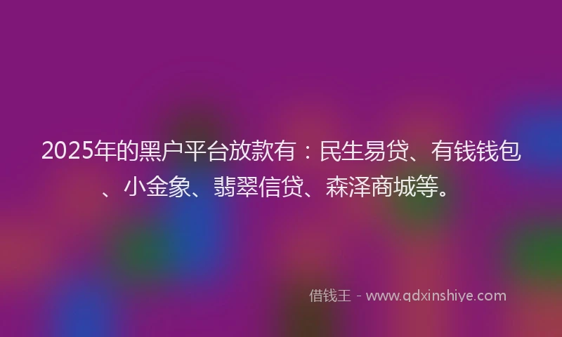 2025年的黑户平台放款有：民生易贷、有钱钱包、小金象、翡翠信贷、森泽商城等。
