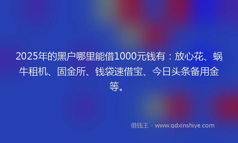 2025年的黑户哪里能借1000元钱有：放心花、蜗牛租机、固金所、钱袋速借宝、今日头条备用金等。