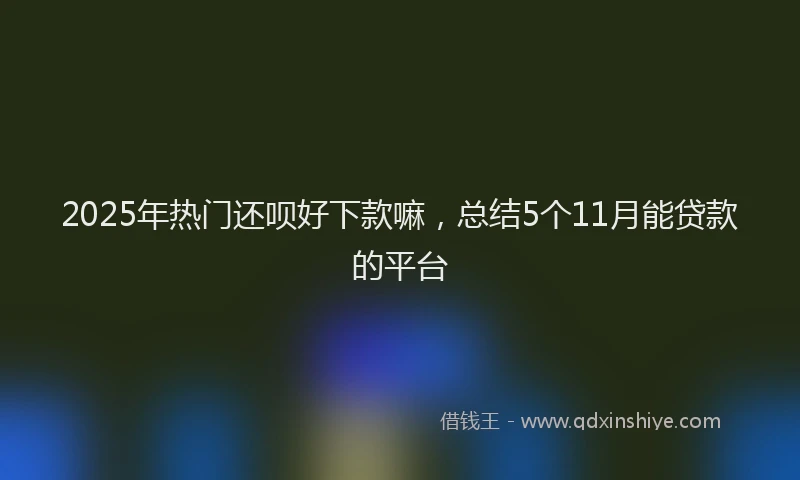 2025年热门还呗好下款嘛，总结5个11月能贷款的平台