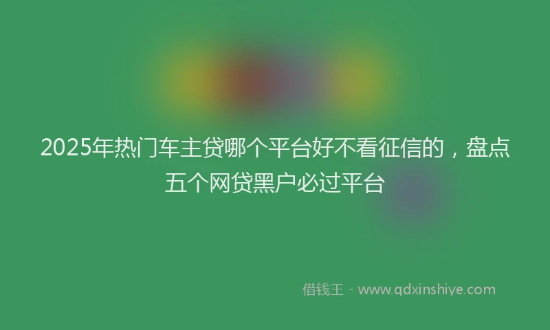 2025年热门车主贷哪个平台好不看征信的，盘点五个网贷黑户必过平台
