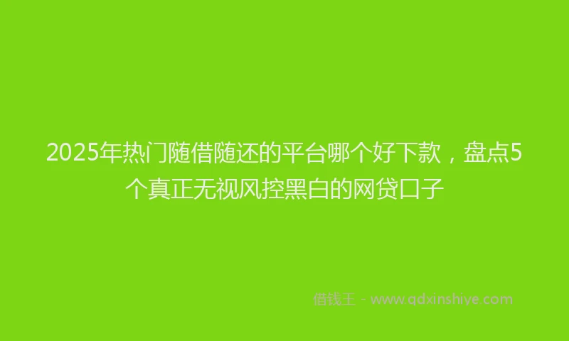 2025年热门随借随还的平台哪个好下款，盘点5个真正无视风控黑白的网贷口子