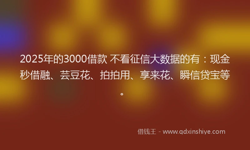 2025年的3000借款 不看征信大数据的有：现金秒借融、芸豆花、拍拍用、享来花、瞬信贷宝等。