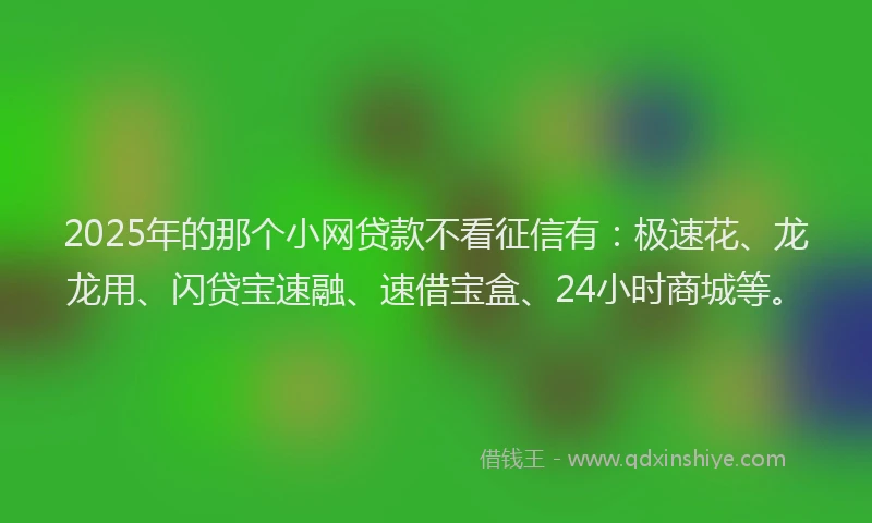 2025年的那个小网贷款不看征信有：极速花、龙龙用、闪贷宝速融、速借宝盒、24小时商城等。