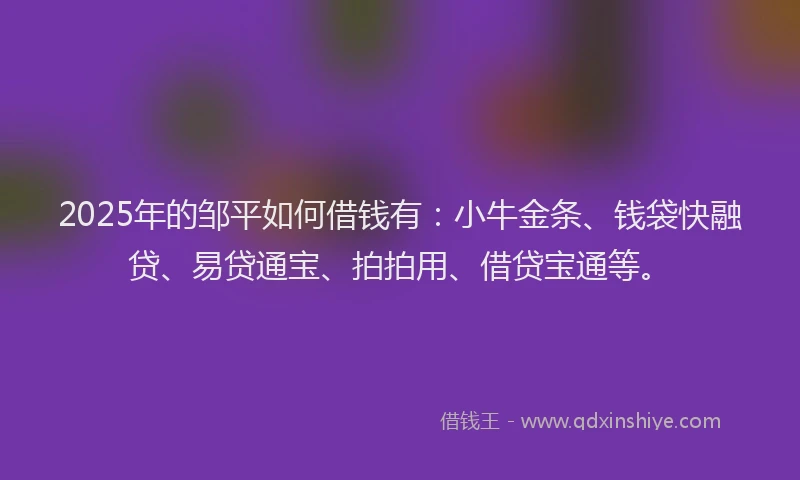 2025年的邹平如何借钱有：小牛金条、钱袋快融贷、易贷通宝、拍拍用、借贷宝通等。