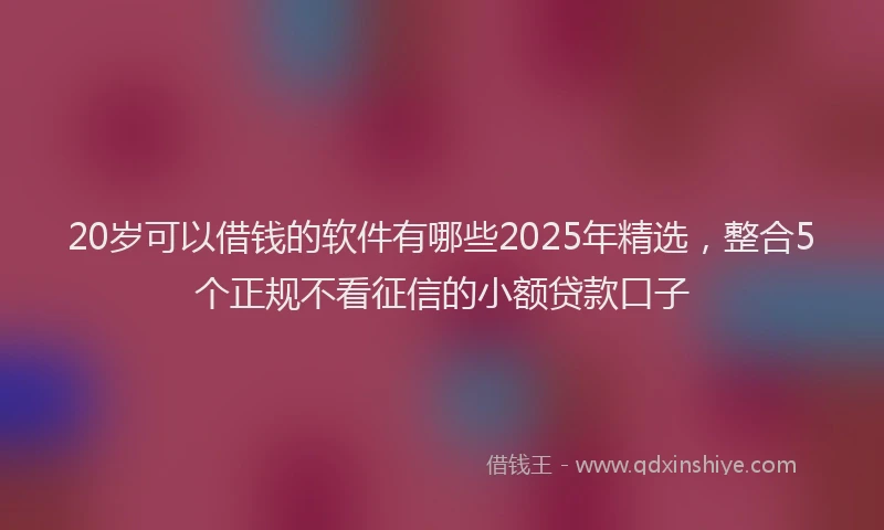 20岁可以借钱的软件有哪些2025年精选，整合5个正规不看征信的小额贷款口子