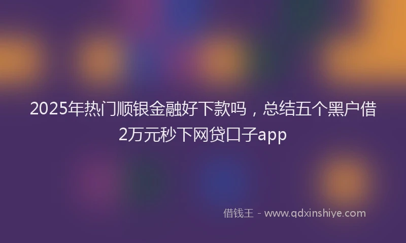 2025年热门顺银金融好下款吗，总结五个黑户借2万元秒下网贷口子app