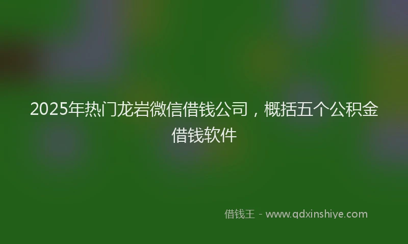 2025年热门龙岩微信借钱公司，概括五个公积金借钱软件