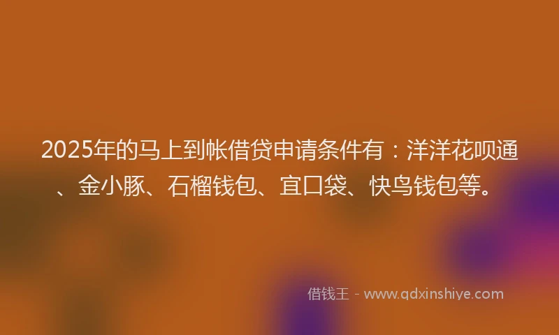 2025年的马上到帐借贷申请条件有：洋洋花呗通、金小豚、石榴钱包、宜口袋、快鸟钱包等。