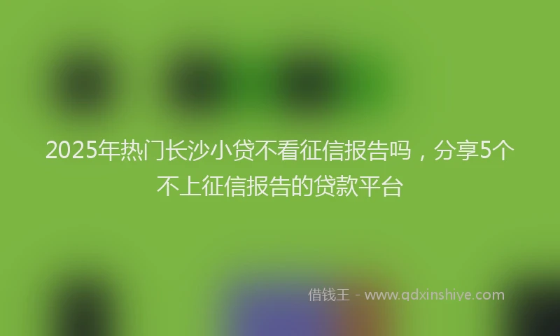 2025年热门长沙小贷不看征信报告吗，分享5个不上征信报告的贷款平台