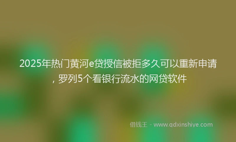 2025年热门黄河e贷授信被拒多久可以重新申请，罗列5个看银行流水的网贷软件