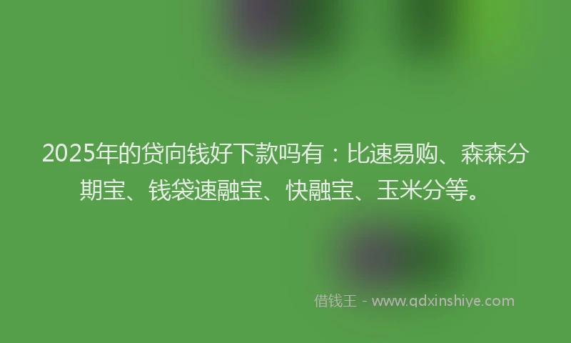2025年的贷向钱好下款吗有：比速易购、森森分期宝、钱袋速融宝、快融宝、玉米分等。