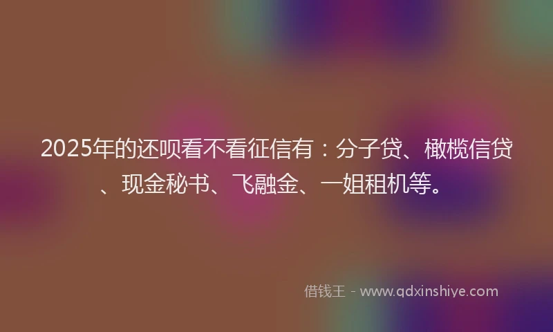 2025年的还呗看不看征信有：分子贷、橄榄信贷、现金秘书、飞融金、一姐租机等。