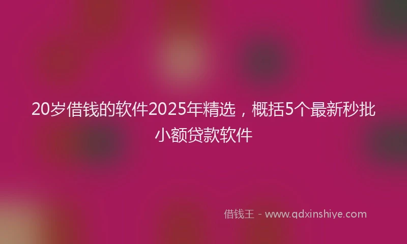 20岁借钱的软件2025年精选，概括5个最新秒批小额贷款软件