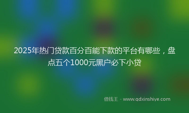 2025年热门贷款百分百能下款的平台有哪些，盘点五个1000元黑户必下小贷