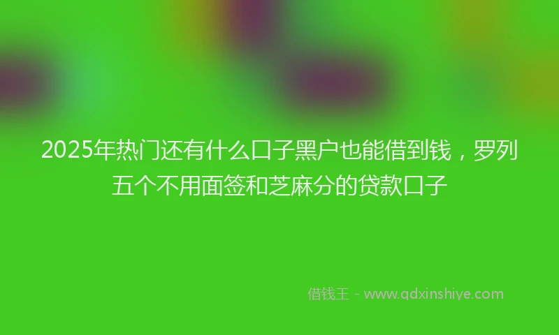 2025年热门还有什么口子黑户也能借到钱，罗列五个不用面签和芝麻分的贷款口子